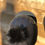 Thumbnail: Sequence silver black 