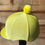 Thumbnail: Yellow daffodils 