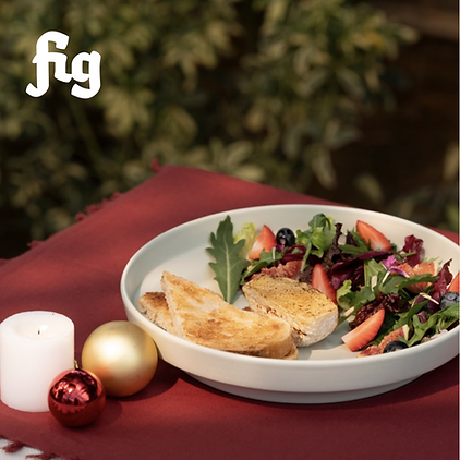 Fig (1).png