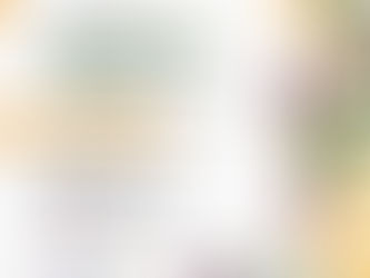 Presentación del informe "Entre el PRI y Morena: retrocesos, impunidad y simulación"