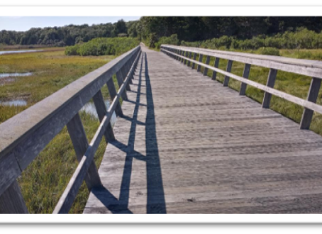 Milestones                                                          - embracing the way forward