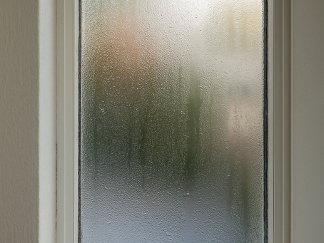 Single Pane Windows and Energy Efficiency in Idaho Homes: What You Need to Know