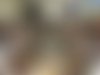 Women in Politics, Public Administration and Civil Society