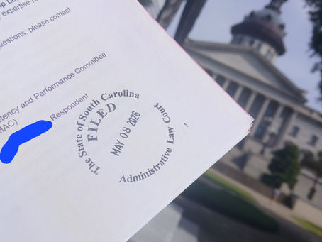 Midwives Fight Back: The First-of-Its-Kind Legal Move to Save SC Birth Choice