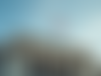 The Role of Political Accountability: A Look at Trump Vance and Johnson