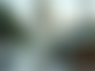 The Hidden Costs of Trump's Presidency: Wealth, War, and Family Business Ties