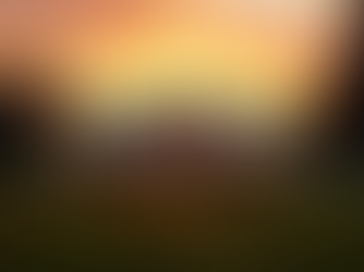 Embracing the Future: Four to Eight Years in the White House and Serving All Americans