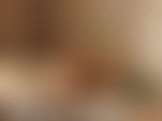 Natural Texture Pods Roots Dried Blooms Decor – Mediterranean styling by Tuna Sourcing