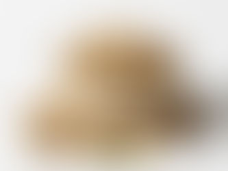 Open-shell pistachios and green kernels in a beige bowl – premium Pistachios by Tuna Sourcing