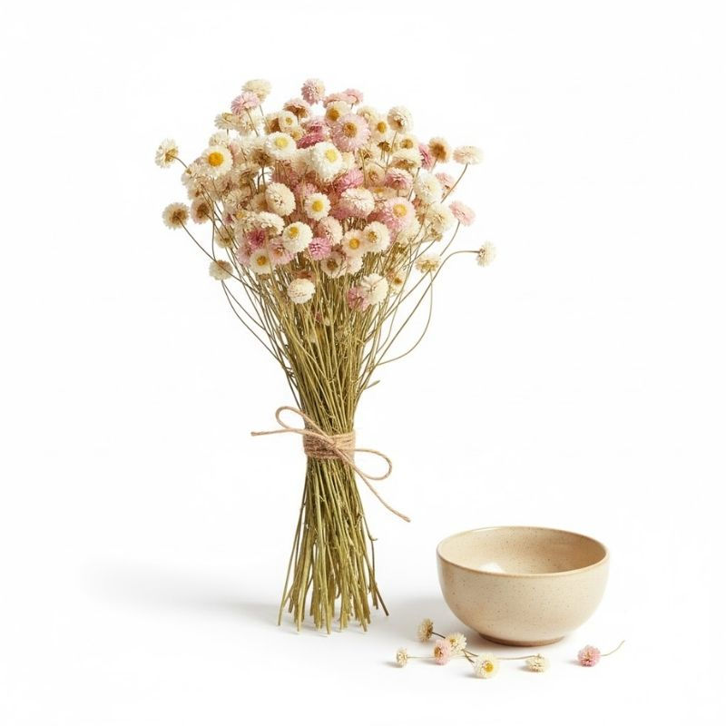 Rhodanthe Bunch – Paper Daisy Dried Flowers by Tuna Sourcing