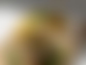 Bowl of Mediterranean capers surrounded by lemon, olive oil, and herbs – Healthy ingredients concept by BestCapers.com