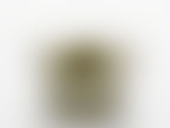 Premium Capers in Brine displayed in a clear glass bowl on a white background.