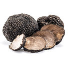 Tuna-Project-Mushrooms-Boletus.com.tr (16).jpg