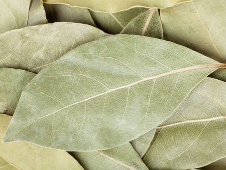 Unlocking the Secrets of Bay Leaf: Myth vs. Reality in Herbal Medicine