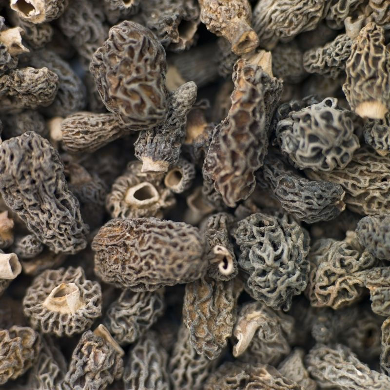 Dried Morel Mushrooms by Boletus.com.tr