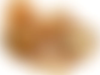 Walnut Wonders: Unveiling the Culinary and Nutritional Powerhouse