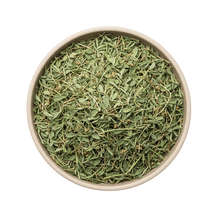 Alfalfa (Lucerne)