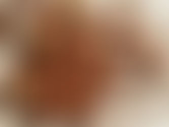 Whole and shelled hazelnuts on beige linen – premium Hazelnuts from the Mediterranean by Tuna Sourcing