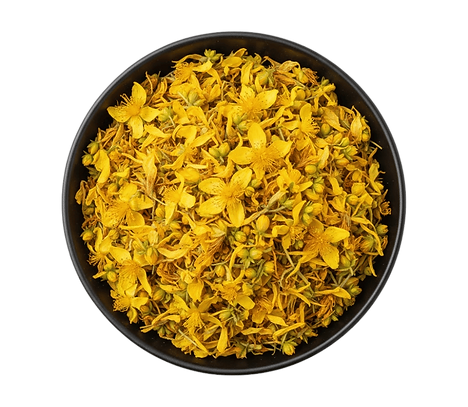 St. John’s Wort Flowers