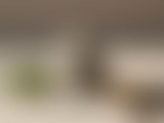 Ethical growth visual showing balanced stones, olive leaves, and Mediterranean herbs symbolizing stable and responsible development under Tuna Project.