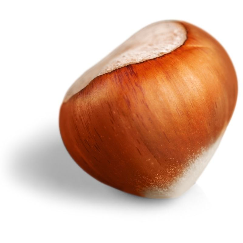 Hazelnut With Shell