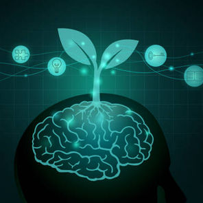 Putting Culture at the Centre of Transformation