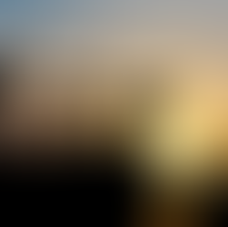 Tribal Leadership - Fostering Human Instinct in our Transformation