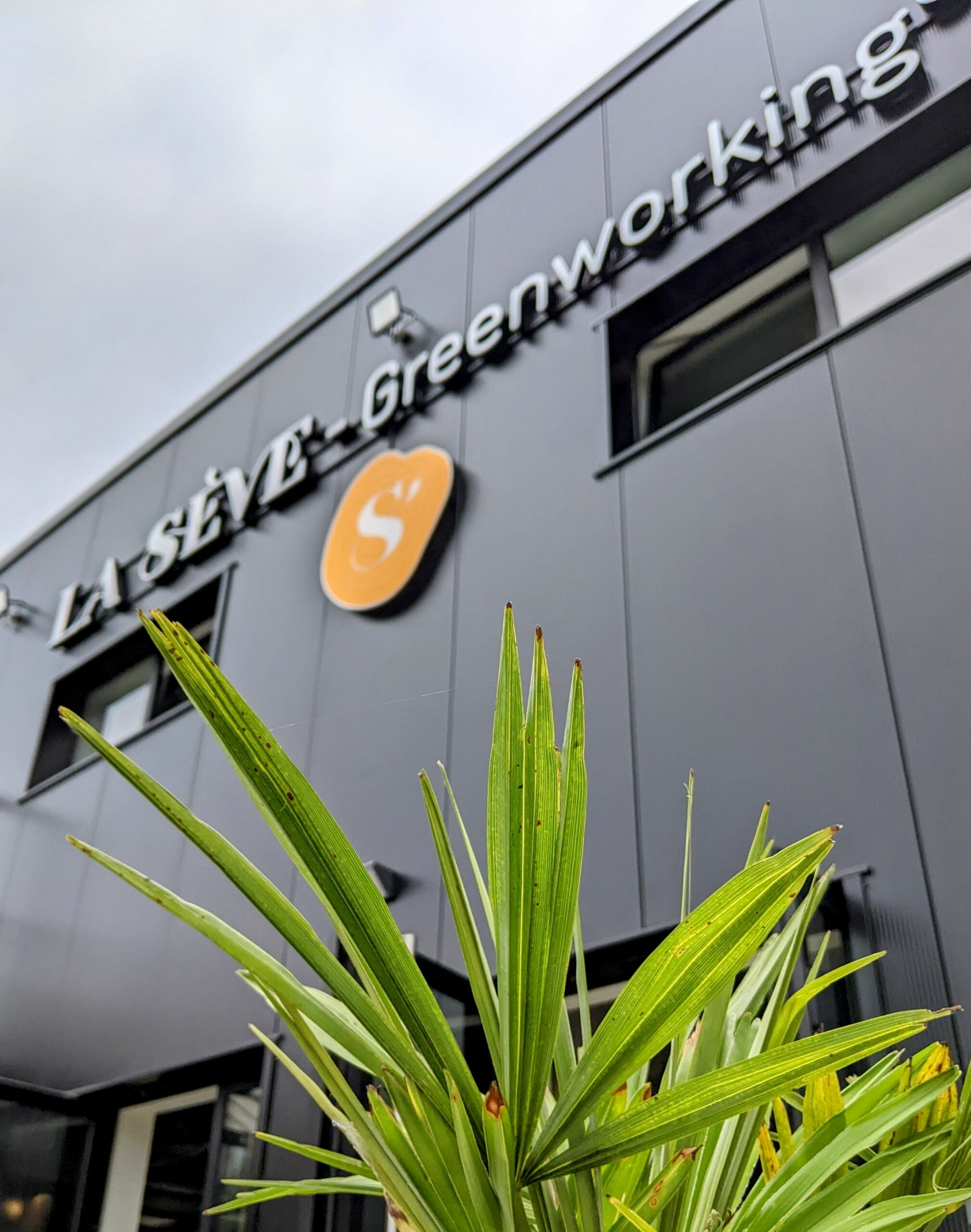 Greenworking — La Sève — 1