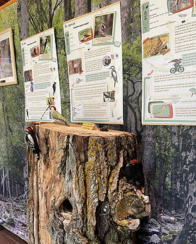 expo photos maison eyne.jpg