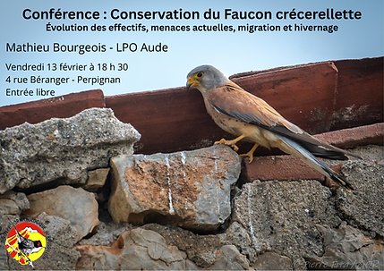 Affiche conférence FC .png