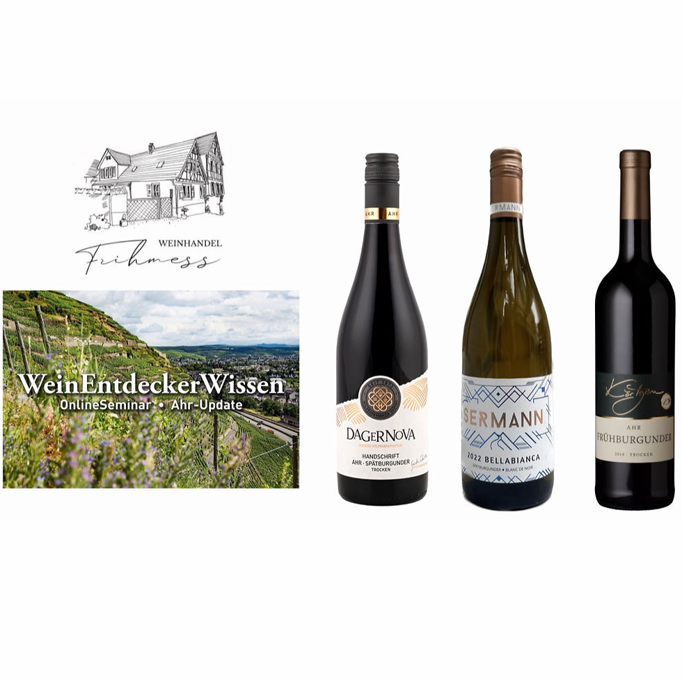 Online Seminar Ahr-Update Donnerstag, 7. September 2023, 19 Uhr