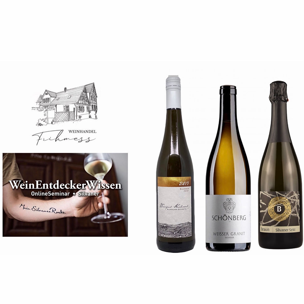 Online Seminar Silvaner2: 02.03.2023 19:00
