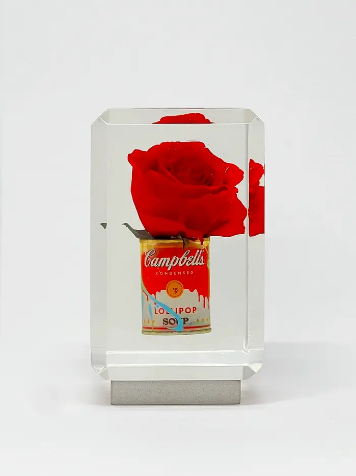 An artwork inspired by Andy Warhol's Campbell Soup encased in resin by Dr Pop