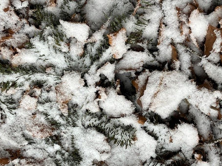 Winter und die Kraft des Wassers