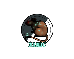 NAMIC.png
