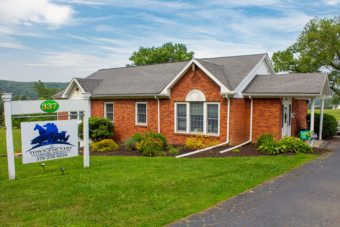 Town & Country Veterinary Services in Montrose, Pennsylvania. 