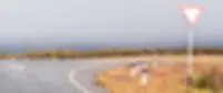 Banner_Site_583867.jpeg