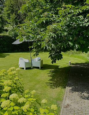 Jardin 2_edited.jpg