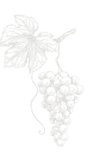 Freelance-vins-fins-design-24