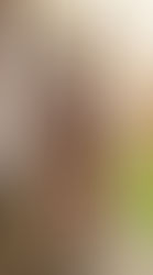 Message de notre évêque à l'occasion des élections