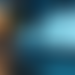 Understanding Digital Audits for NGOs: What You Need to Know About Costs