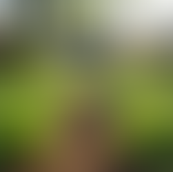 Creating Impactful Purpose-Driven Marketing Campaigns: Mastering Impact Marketing Strategies