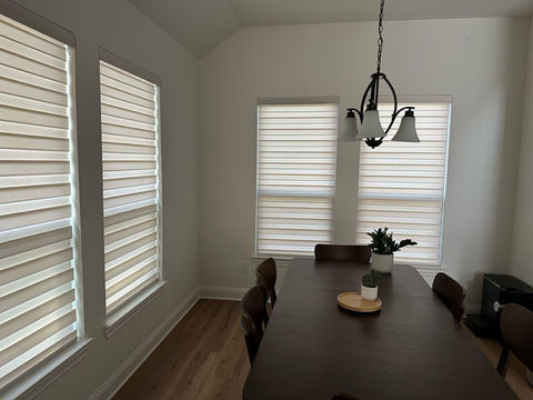 Zebra Blinds