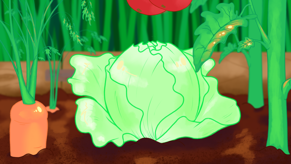 Le jardin en construction / Garden in construction