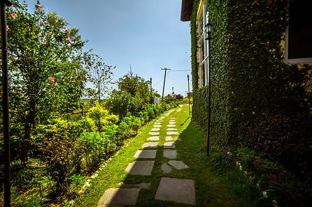 Seclude Palampur (3).jpg