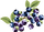 10-004.png