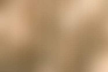 Say YES to Real Wood! Why Choosing Solid Wood Over Fake Wood? - Real Wood VS WPC