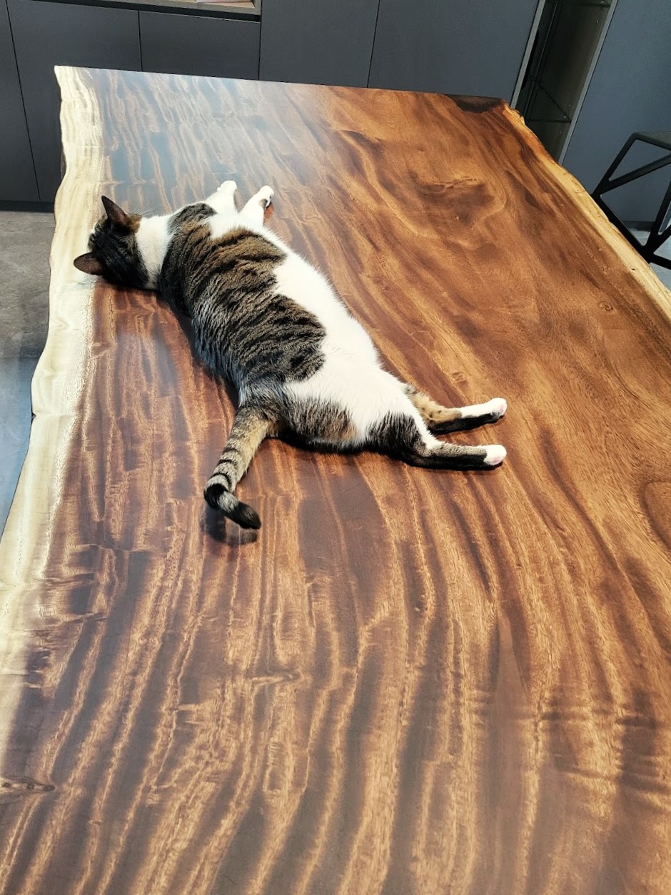 pet-friendly wood slab walnut, cat house, cat bed