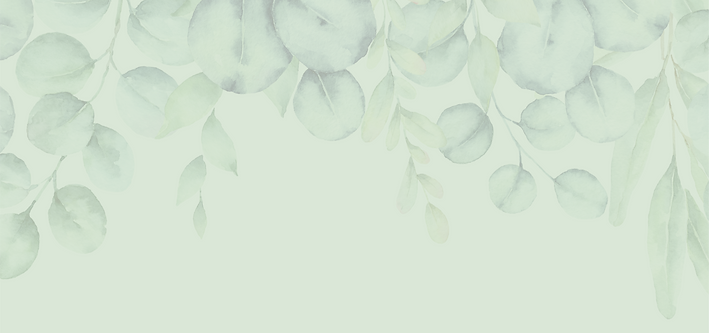 HOK A frame background 3_edited.png