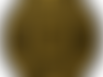 LAiV 荣获 ExtremeHiFi 最佳新品牌奖🎉